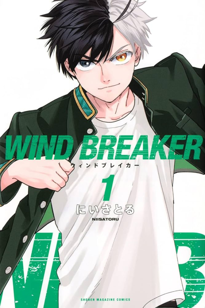 WIND BREAKER 作品紹介